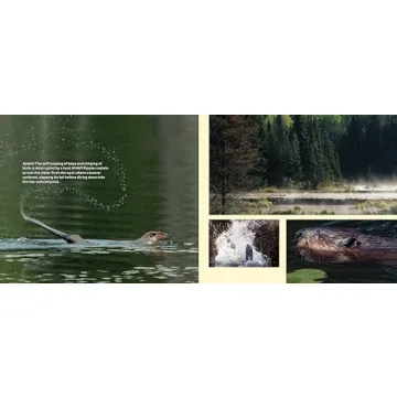 Engaging Children's Book on Beavers and Ecology