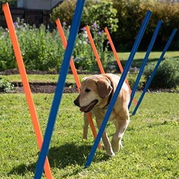 PAWISE Dog Training Exercise Equipment,Dog Agility Training Equipment,12pcs Weave Poles Playground E...
