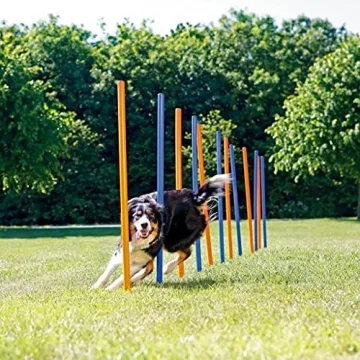 PAWISE Dog Training Exercise Equipment,Dog Agility Training Equipment,12pcs Weave Poles Playground Equipment Outdoor