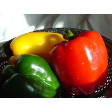 STOPLIGHT BELL PEPPERS GREEN, RED & YELLOW LARGE FRESH FRUIT PRODUCE VEGETABLES EACH