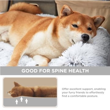 Human Sized Dog Bed for Cozy Family Togetherness