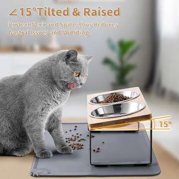 Elevated Cat Bowls with Food Mat for Comfort & Cleanliness