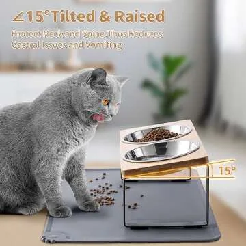 Elevated Cat Bowls with Food Mat for Comfort & Cleanliness