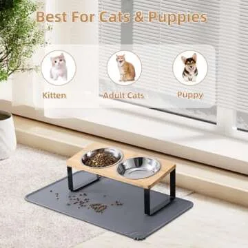 Elevated Cat Bowls with Food Mat for Comfort & Cleanliness