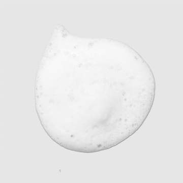 Tea Tree Lavender Mint Curl Refresh Foam for Gorgeous Curls