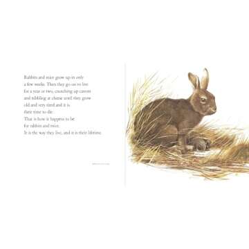 Lifetimes: The Beautiful Way to Explain Death to Children