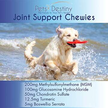 Joint Support Chews for Dogs - Advanced Health Supplement