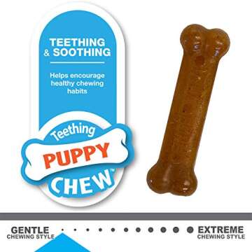 Nylabone New Puppy Starter Kit, 2 Chew for Puppies, Peanut Butter & Chicken Flavor, X-Small - Up to 15 lbs, 2 Pack