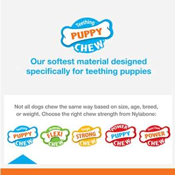 Nylabone New Puppy Starter Kit, 2 Chew for Puppies, Peanut Butter & Chicken Flavor, X-Small - Up to 15 lbs, 2 Pack