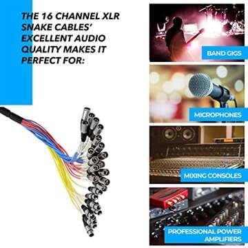 Seismic Audio - 16 Channel XLR SNAKE CABLE 50' long - 16 XLR sends and 4 XLR returns - Color Coded, Numerically well labeled - Heavy Duty 50 feet long