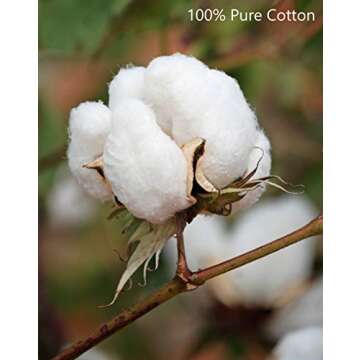 GLAMBURG 100% Cotton Bed Blanket, Breathable Bed Blanket Queen Size, Cotton Thermal Blankets Full - Queen Size, Perfect for Layering Any Bed for All Season - Charcoal Grey