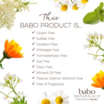 Babo Botanicals SPF 50 Stick Sunscreen - Organic, Natural & Safe