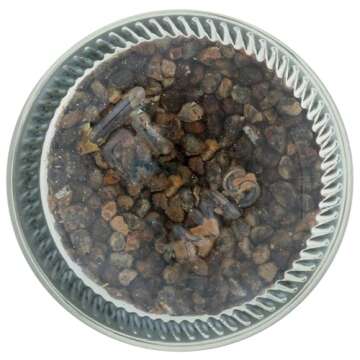 365 by Whole Foods Market, Cardamom Whole Organic, 2.36 Ounce