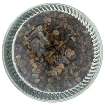 365 by Whole Foods Market, Cardamom Whole Organic, 2.36 Ounce