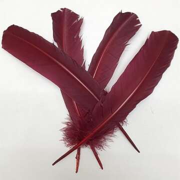 24Pcs Burgundy Turkey Feathers 10~12 inch,Beautiful Long Feather for Crafts,Bulk Big Size Bilateral Natural Feather,for Wedding Dress and Party Decoration,DIY Fabricating Handicraft Article (Burgundy)