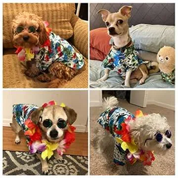 3 Pieces Pet Dog Hawaiian Costume, Includes Puppy Cool T-Shirts Summer Clothes, Funny Cute Dog Retro Fashion Sunglasses and a Colorful Wreath for Small to Medium pet(Green Series)