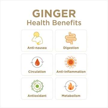 Premium 99% Pure Ginger Juice for Daily Wellness Shots