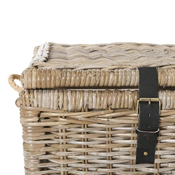 Happimess 46" Wicker Storage Trunk for Stylish Organization