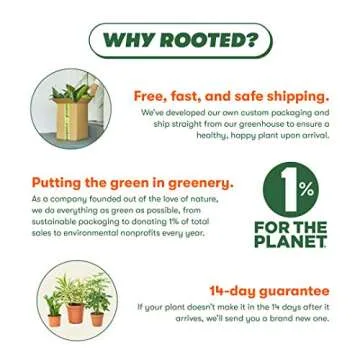 Rooted Neon Pothos, Epipremnum Aureum, Live, Live Indoor, Easy to Grow, Easy to Care, Outdoor and Indoor Garden and Low Maintenance Houseplant, 4 inch Pot