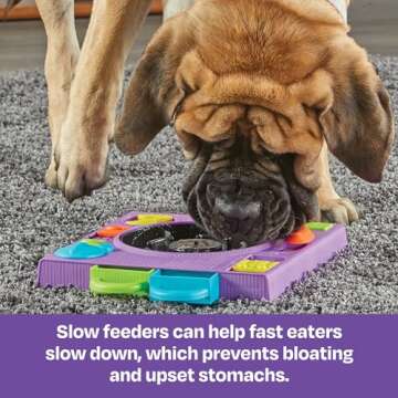 Brightkins DJ Doggo Puzzle Feeder for All Breeds - Dog Puzzle Toys, Interactive Dog Toys, Gifts for Dogs