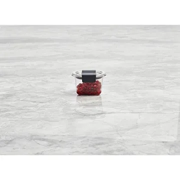 Rubbermaid Brilliance Mini Food Storage Containers Leak-Proof