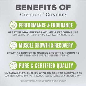 BIRDMAN High-Purity Creatine Monohydrate Unflavored Powder, Pre-Workout, High Performance | 300g