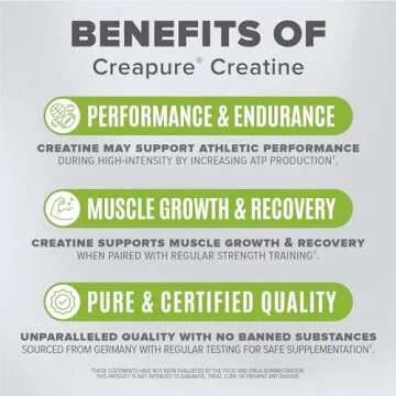 BIRDMAN High-Purity Creatine Monohydrate Unflavored Powder, Pre-Workout, High Performance | 300g