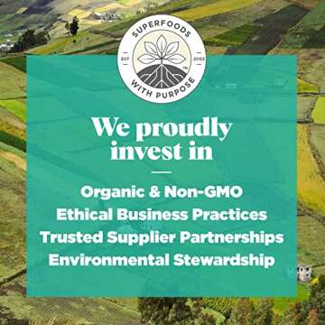 Navitas Organics Maca Gelatinized Powder, 8 oz. Bag, 45 Servings — Organic, Non-GMO, Gluten-Free, 12-003