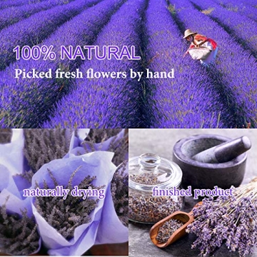 Natural Dried Flowers Kit for DIY Crafts & Skin Care