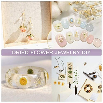 Natural Dried Flowers Kit for DIY Crafts & Skin Care