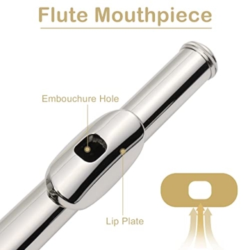 Ktaxon E-split Flute Kit for Beginners & Professionals