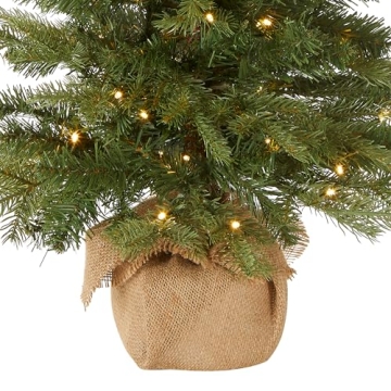 Nordic Spruce Mini Christmas Tree with White Lights