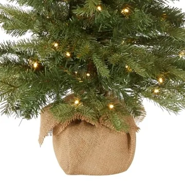 Nordic Spruce Mini Christmas Tree with White Lights