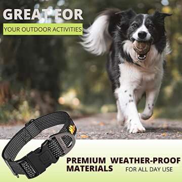 ADITYNA Reflective Dog Collar with Safety Locking Buckle - Heavy-Duty Black Dog Collar for Extra-Large Dogs - Easily Adjustable Nylon Pet Collar