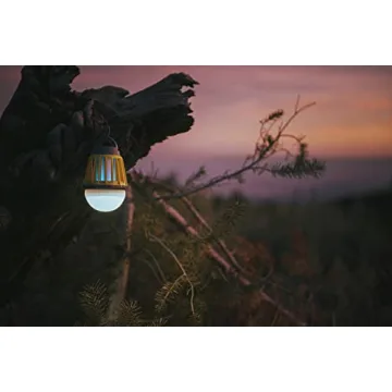 Stansport Lantern Bug Zapper for Camping and Fishing