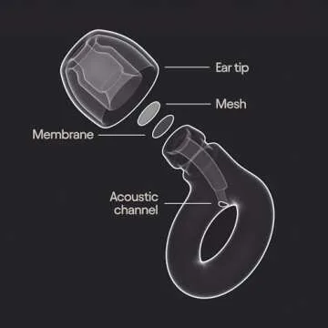 Loop Experience 2 Ear Plugs for Concerts & Events with Noise Reduction