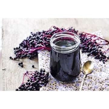 American Elderberry Seeds - 50 Seeds to Plant - Sambucus - Non-GMO Seeds, Grown and Shipped from Iowa. Made in USA