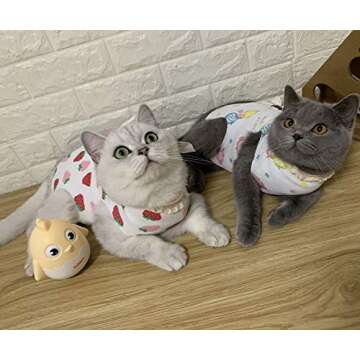 Stock Show Recovery Suit for Cats Cotton Breathable Lightweight E-Collar Alternative for Cats and Dogs, After Surgery Wear, Kiss Fish, X-Small