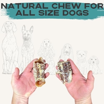 JACK'S PREMIUM Beef Trachea Natural Joint Support for Dogs