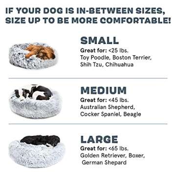 Barkbox Dog Bed - Memory Foam Cuddler for Pets