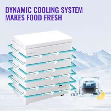 Compact DEMULLER Chest Freezer with Precision Control