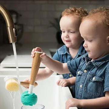 Full Circle Crystal Clear 2.0 Replaceable Glass Cleaner - Gentle Sponge Cleaning Brush for Washing Glasses – Bamboo Handle and Layered Cellulose Sponge Kitchen Dish Brush, One Size, White