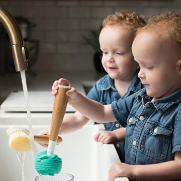 Full Circle Crystal Clear 2.0 Replaceable Glass Cleaner - Gentle Sponge Cleaning Brush for Washing Glasses – Bamboo Handle and Layered Cellulose Sponge Kitchen Dish Brush, One Size, White