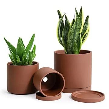 D'vine Dev Rust Terracotta Pots for Plants - Perfect for All Green Thumbs