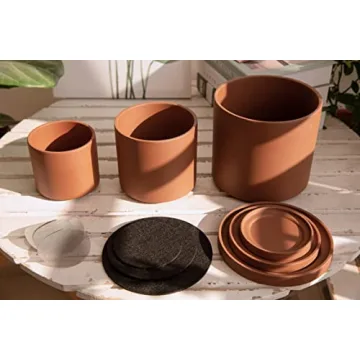 D'vine Dev Rust Terracotta Pots for Plants - Ideal for Plant Lovers.