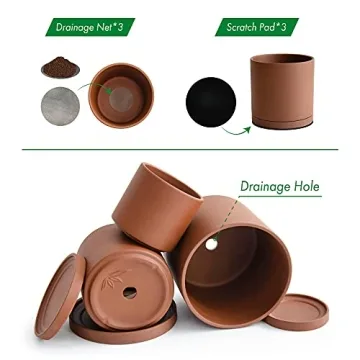 D'vine Dev Rust Terracotta Pots for Plants - Ideal for Plant Lovers.