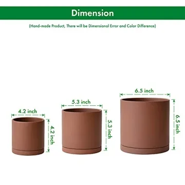 D'vine Dev Rust Terracotta Pots for Plants - Ideal for Plant Lovers.