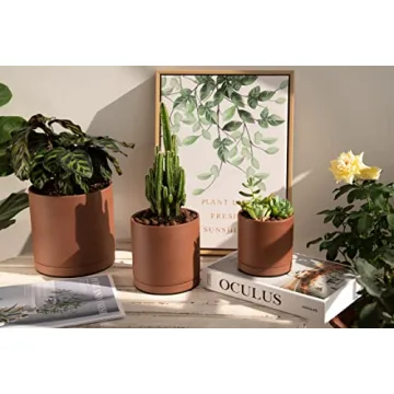 D'vine Dev Rust Terracotta Pots for Plants - Ideal for Plant Lovers.