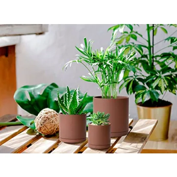 D'vine Dev Rust Terracotta Pots for Plants - Ideal for Plant Lovers.