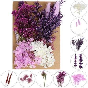 131pcs Colorful DIY Dried Flowers for Creative Projects